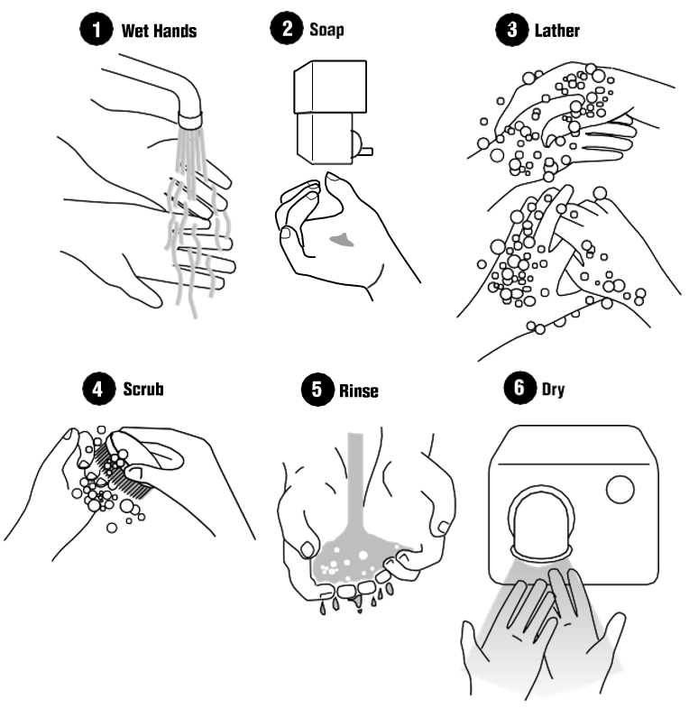 Proper Hand Washing Technique