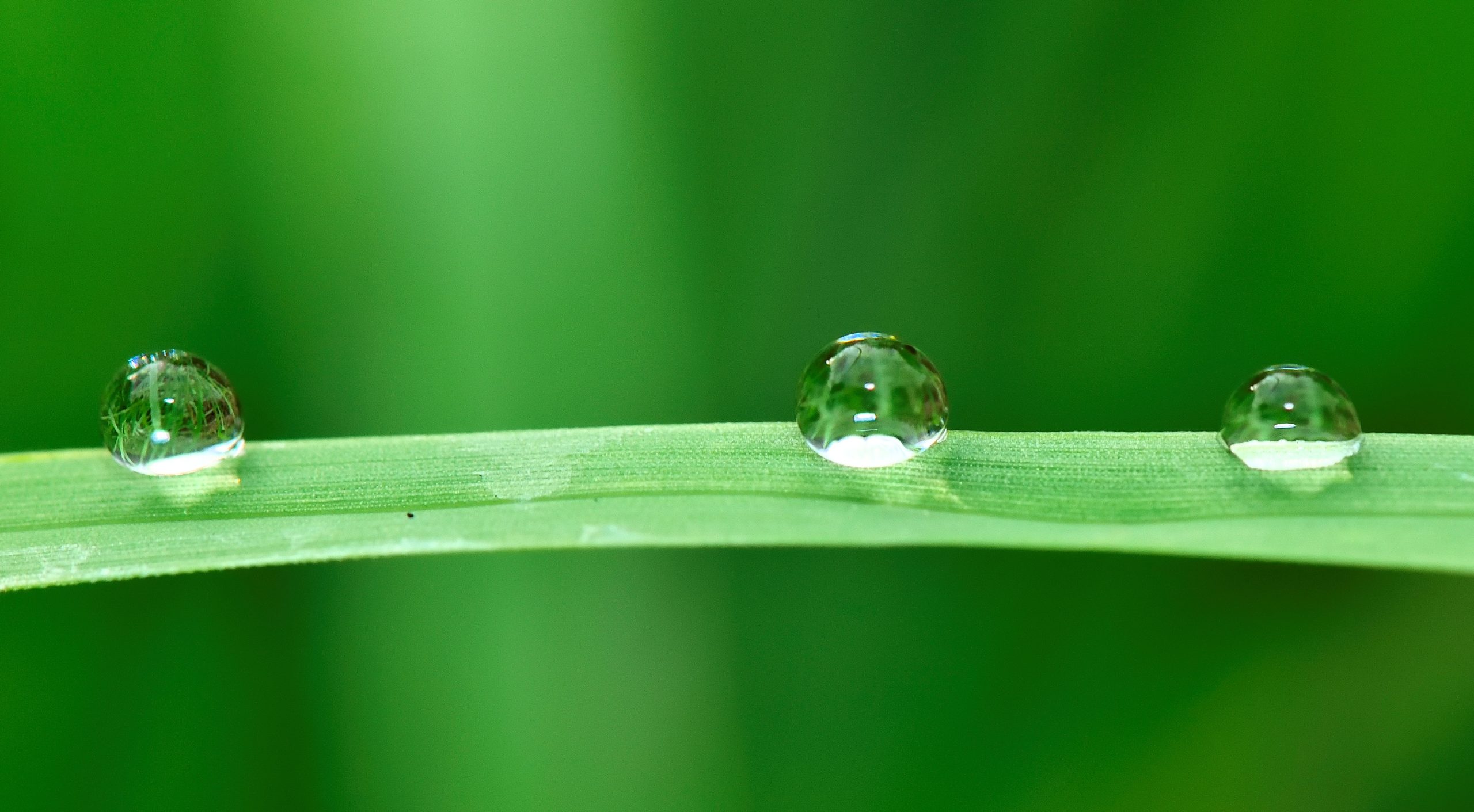 Water droplet